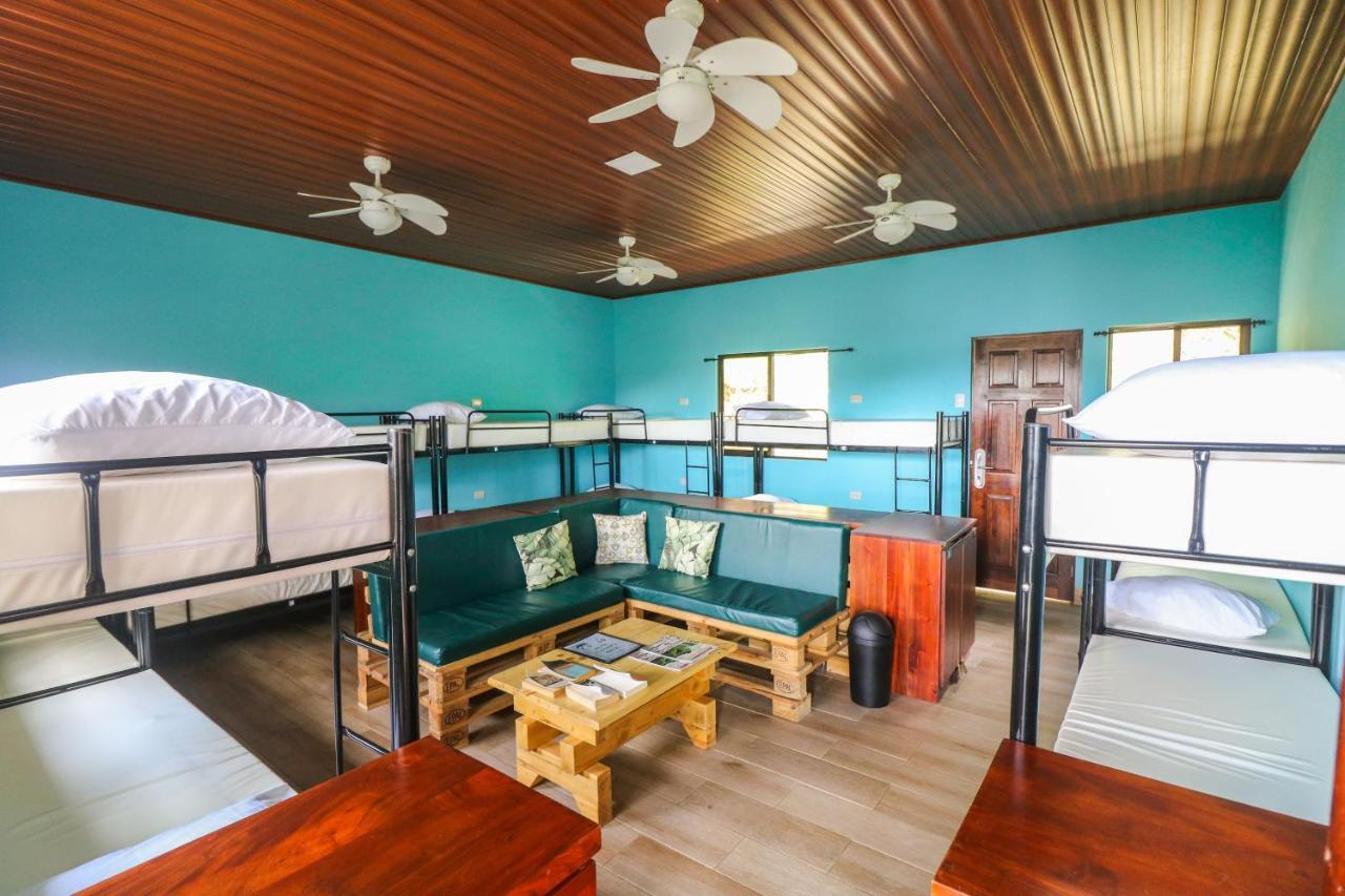 Teva Hotel & Jungle Reserve マヌエル・アントニオ エクステリア 写真