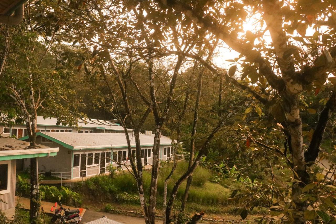 Teva Hotel & Jungle Reserve マヌエル・アントニオ エクステリア 写真